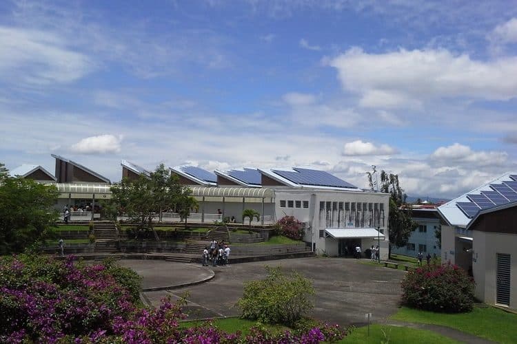 centrale photovoltaique conseil régional de la Martinique injection totale